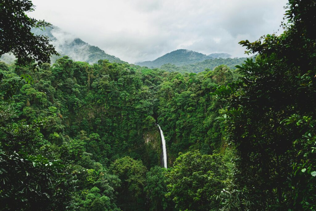 La Fortuna Waterfall cascading down lush greener