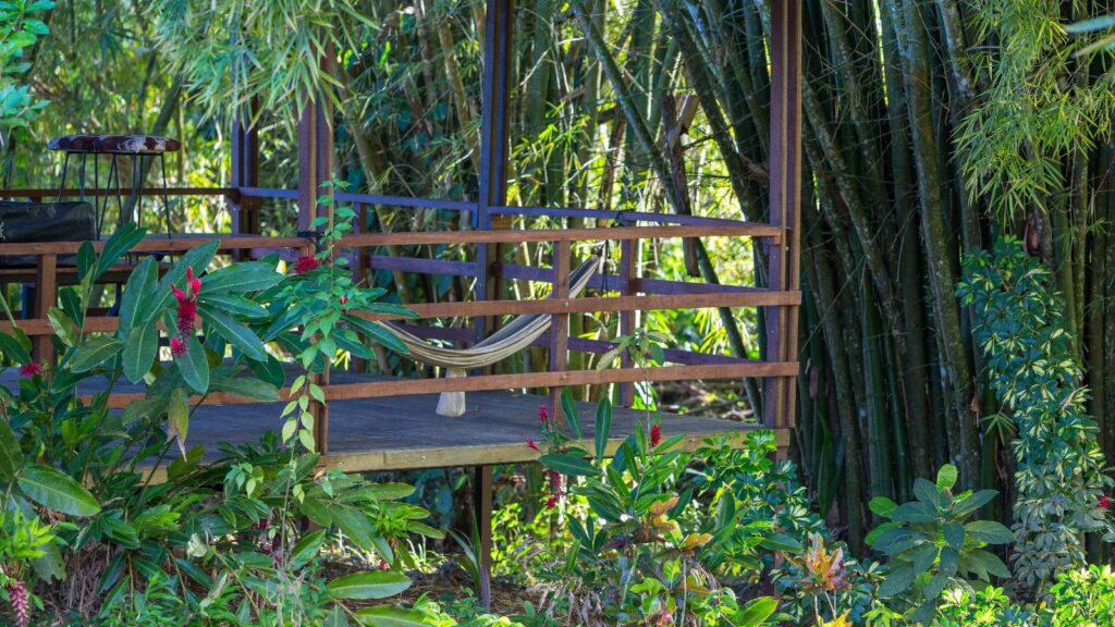 Wooden deck with a hammock and stool surrounded by lush greenery and bamboo plants