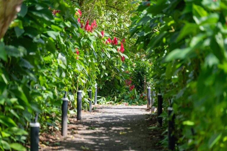 North Fields Coffee Tour