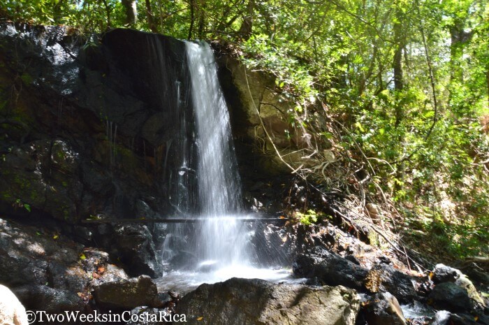 Lomas-Barbudal-Biological-Reserve