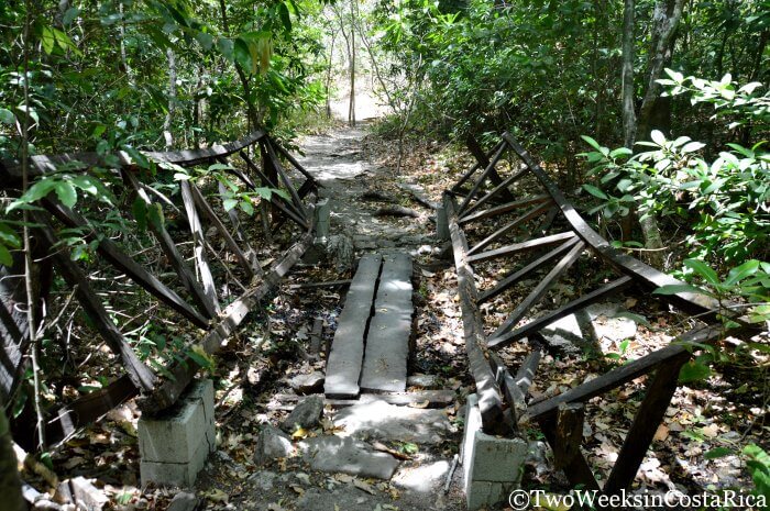 Old-bridge-on-trail-at-Lomas-Barbudal-Biological-Reserve